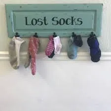 The Case of the Missing Sock: A Laundry Mystery Solved