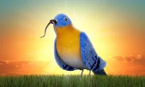 Beat the Rush: Grove City’s Early Morning Laundromat Hours